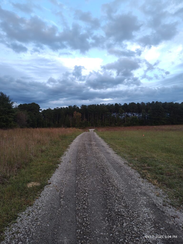 558114141 122138079692816721 5750983699188821045 n